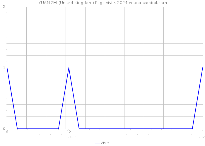 YUAN ZHI (United Kingdom) Page visits 2024 