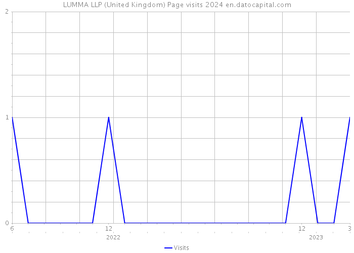 LUMMA LLP (United Kingdom) Page visits 2024 
