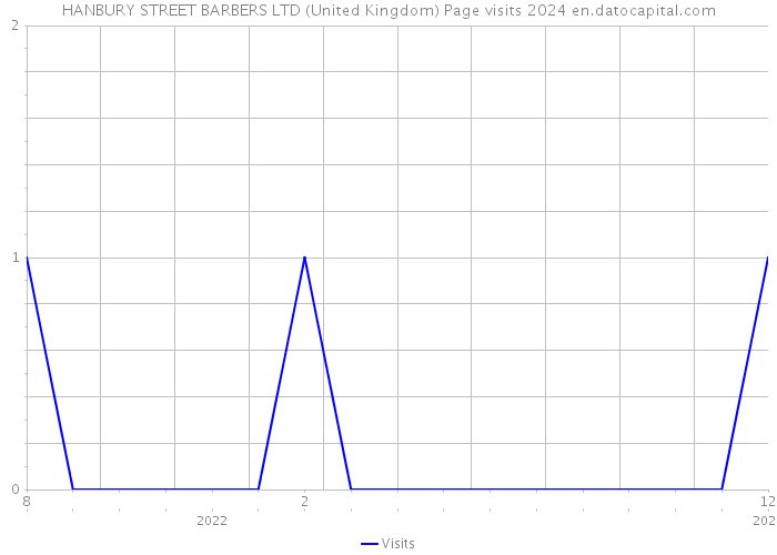 HANBURY STREET BARBERS LTD (United Kingdom) Page visits 2024 