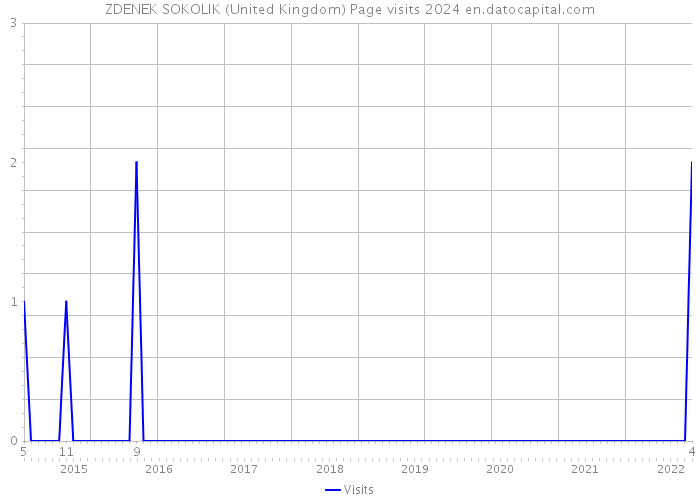 ZDENEK SOKOLIK (United Kingdom) Page visits 2024 