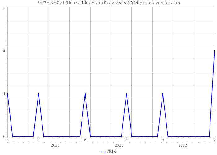 FAIZA KAZMI (United Kingdom) Page visits 2024 