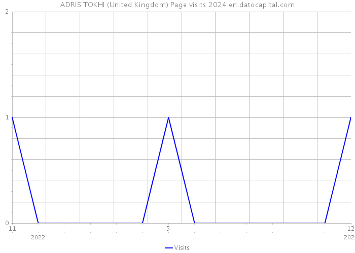ADRIS TOKHI (United Kingdom) Page visits 2024 