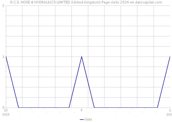R.C.S. HOSE & HYDRAULICS LIMITED (United Kingdom) Page visits 2024 