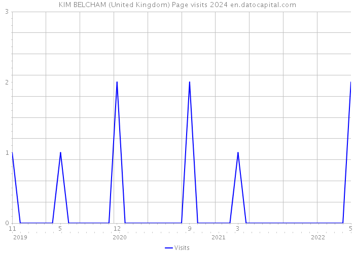 KIM BELCHAM (United Kingdom) Page visits 2024 