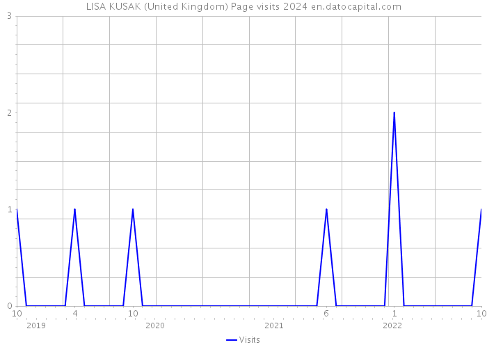 LISA KUSAK (United Kingdom) Page visits 2024 