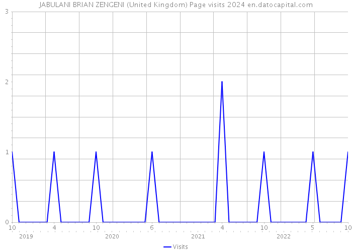 JABULANI BRIAN ZENGENI (United Kingdom) Page visits 2024 