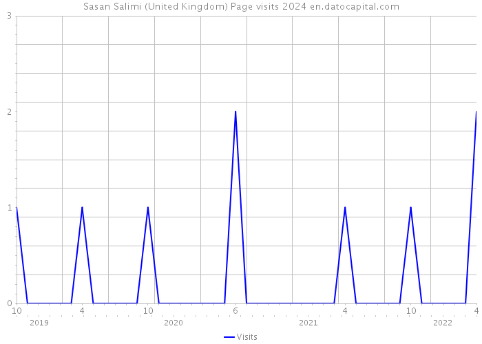 Sasan Salimi (United Kingdom) Page visits 2024 
