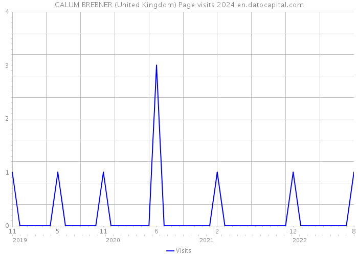 CALUM BREBNER (United Kingdom) Page visits 2024 