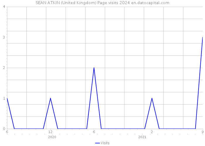 SEAN ATKIN (United Kingdom) Page visits 2024 