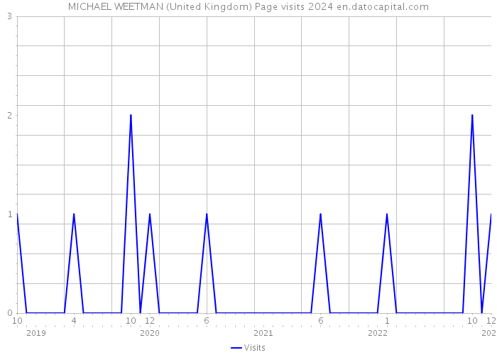 MICHAEL WEETMAN (United Kingdom) Page visits 2024 