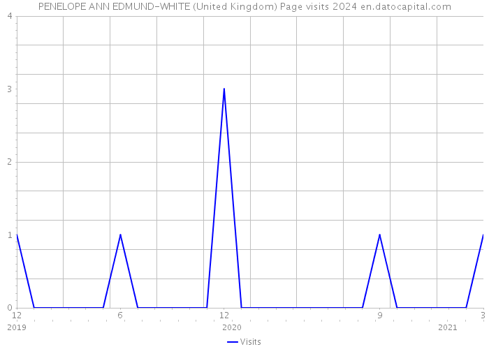 PENELOPE ANN EDMUND-WHITE (United Kingdom) Page visits 2024 