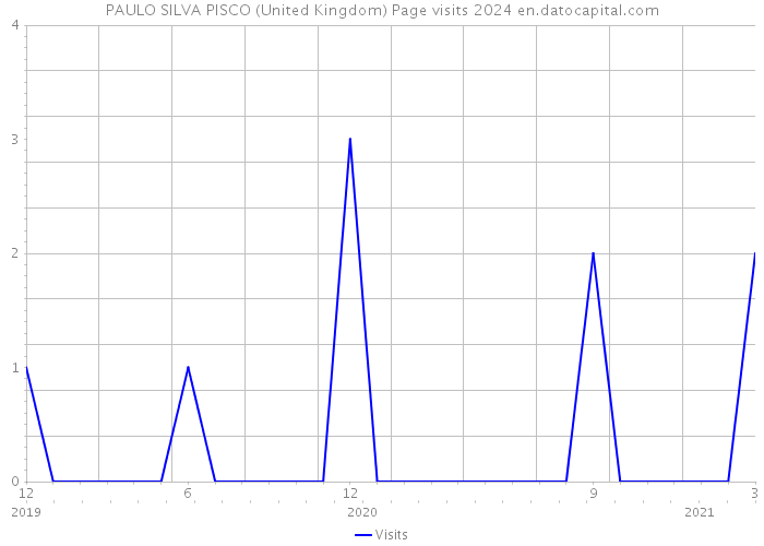 PAULO SILVA PISCO (United Kingdom) Page visits 2024 