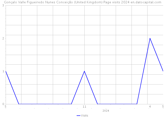 Gonçalo Valle Figueiredo Nunes Conceição (United Kingdom) Page visits 2024 