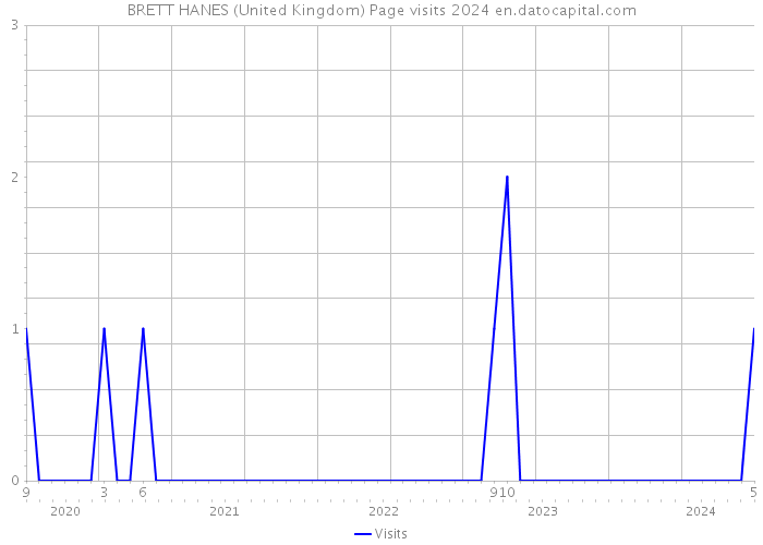 BRETT HANES (United Kingdom) Page visits 2024 