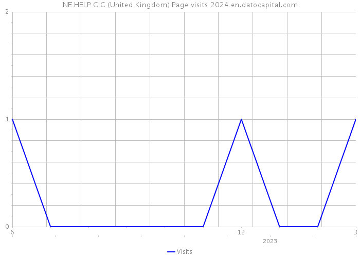 NE HELP CIC (United Kingdom) Page visits 2024 