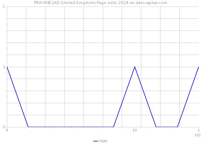 PRAVINE LAD (United Kingdom) Page visits 2024 