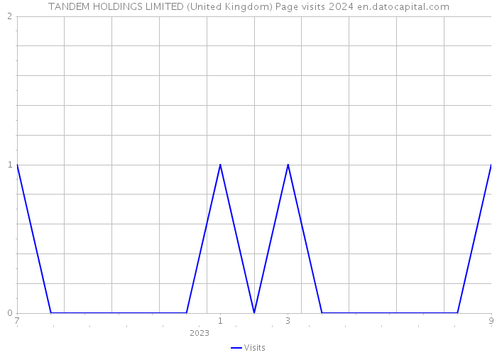 TANDEM HOLDINGS LIMITED (United Kingdom) Page visits 2024 