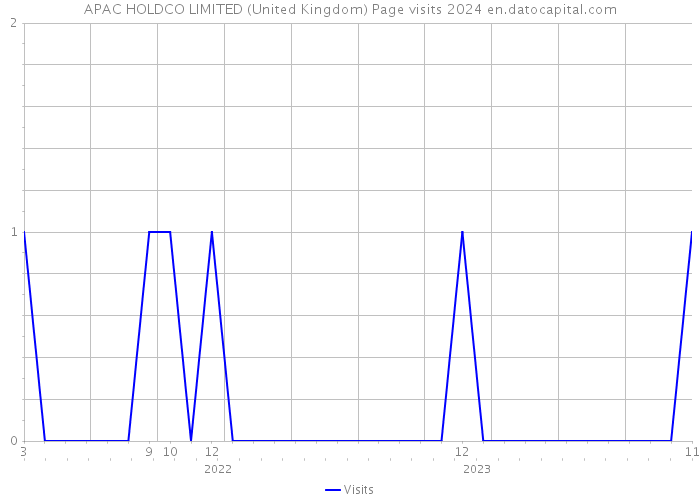APAC HOLDCO LIMITED (United Kingdom) Page visits 2024 