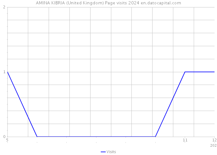 AMINA KIBRIA (United Kingdom) Page visits 2024 
