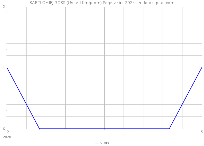 BARTLOMIEJ ROSS (United Kingdom) Page visits 2024 