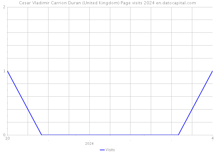 Cesar Vladimir Carrion Duran (United Kingdom) Page visits 2024 