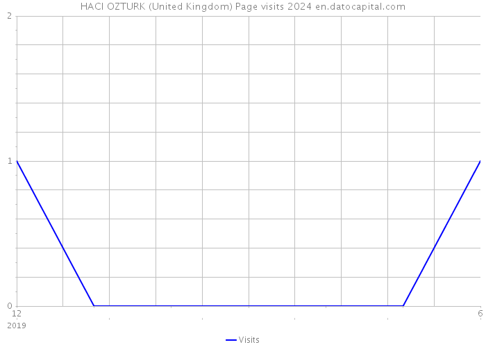 HACI OZTURK (United Kingdom) Page visits 2024 