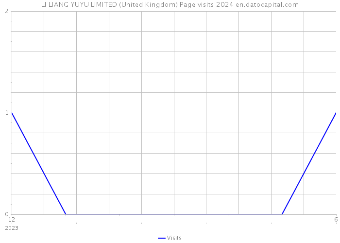 LI LIANG YUYU LIMITED (United Kingdom) Page visits 2024 
