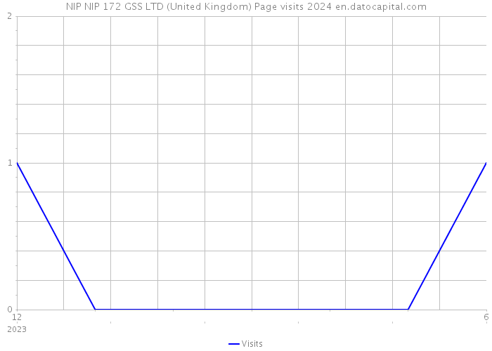 NIP NIP 172 GSS LTD (United Kingdom) Page visits 2024 