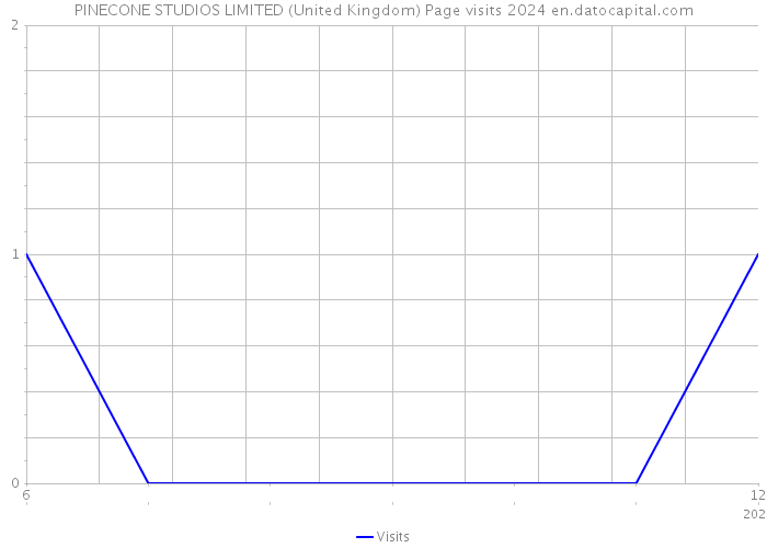 PINECONE STUDIOS LIMITED (United Kingdom) Page visits 2024 