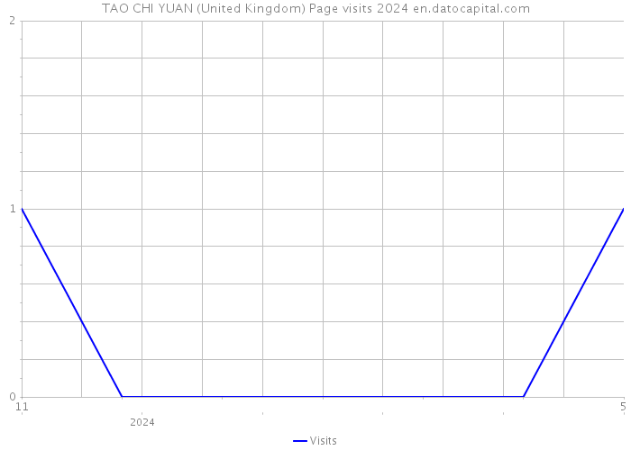 TAO CHI YUAN (United Kingdom) Page visits 2024 