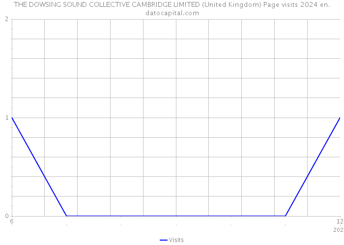 THE DOWSING SOUND COLLECTIVE CAMBRIDGE LIMITED (United Kingdom) Page visits 2024 