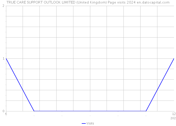 TRUE CARE SUPPORT OUTLOOK LIMITED (United Kingdom) Page visits 2024 