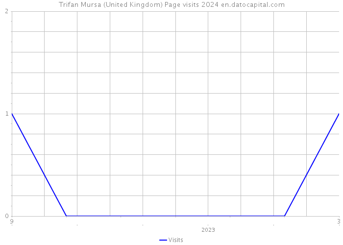 Trifan Mursa (United Kingdom) Page visits 2024 