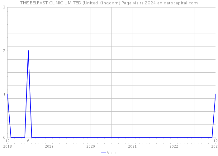 THE BELFAST CLINIC LIMITED (United Kingdom) Page visits 2024 