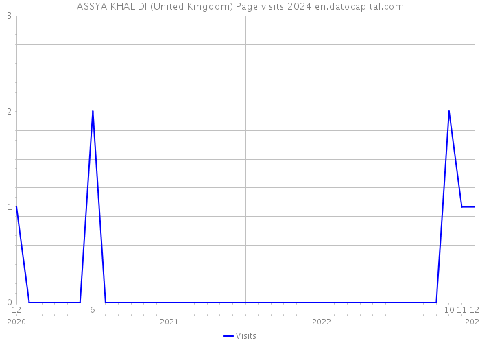 ASSYA KHALIDI (United Kingdom) Page visits 2024 