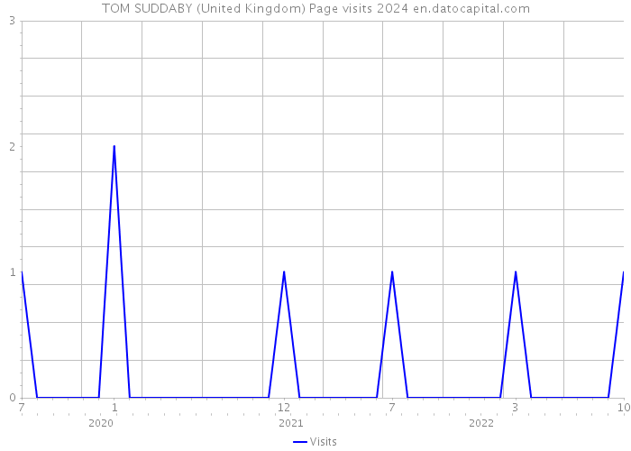 TOM SUDDABY (United Kingdom) Page visits 2024 