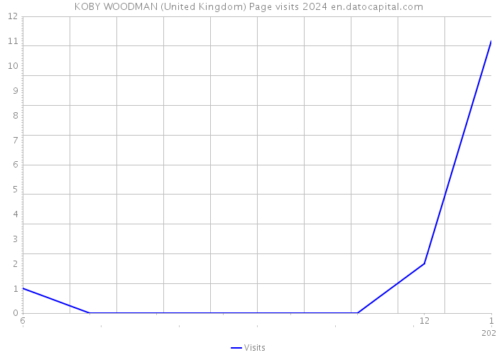 KOBY WOODMAN (United Kingdom) Page visits 2024 