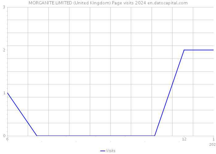 MORGANITE LIMITED (United Kingdom) Page visits 2024 