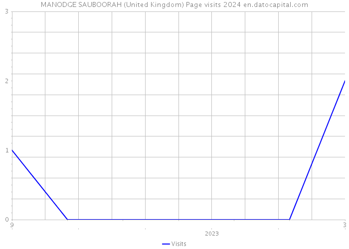MANODGE SAUBOORAH (United Kingdom) Page visits 2024 