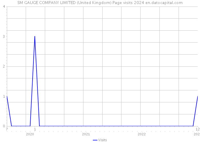 SM GAUGE COMPANY LIMITED (United Kingdom) Page visits 2024 
