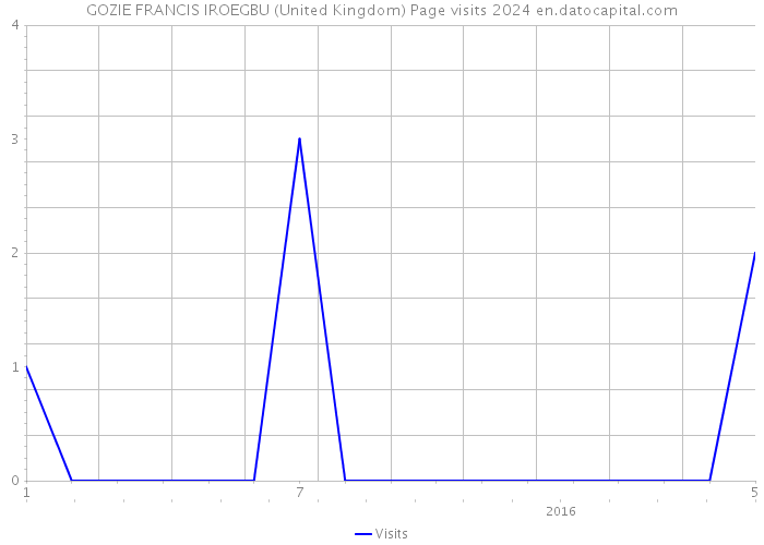 GOZIE FRANCIS IROEGBU (United Kingdom) Page visits 2024 