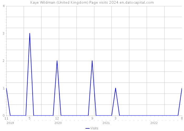 Kaye Wildman (United Kingdom) Page visits 2024 
