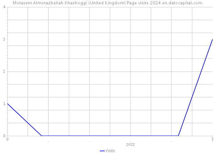 Motasem Almotazbellah Khashoggi (United Kingdom) Page visits 2024 
