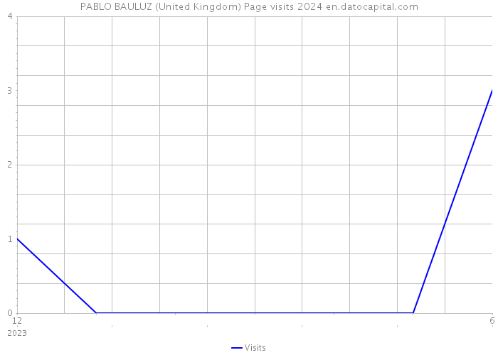 PABLO BAULUZ (United Kingdom) Page visits 2024 
