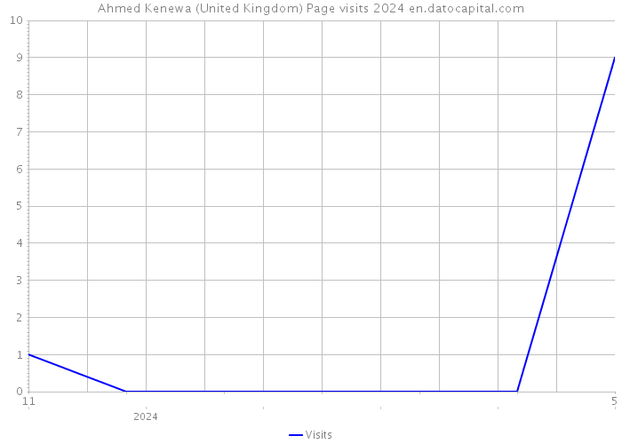 Ahmed Kenewa (United Kingdom) Page visits 2024 
