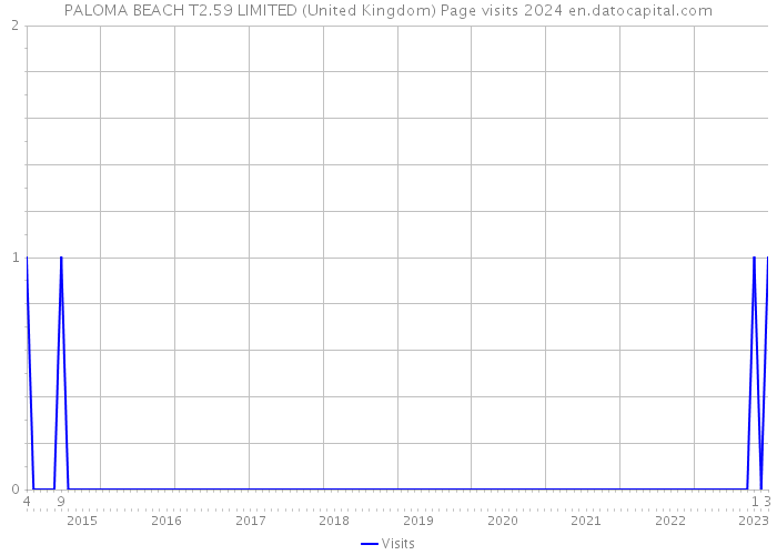 PALOMA BEACH T2.59 LIMITED (United Kingdom) Page visits 2024 