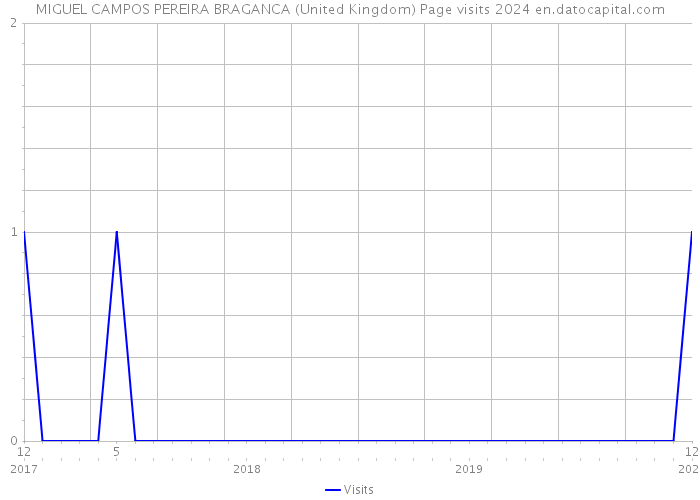 MIGUEL CAMPOS PEREIRA BRAGANCA (United Kingdom) Page visits 2024 