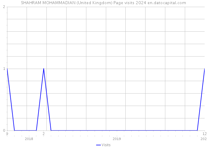SHAHRAM MOHAMMADIAN (United Kingdom) Page visits 2024 