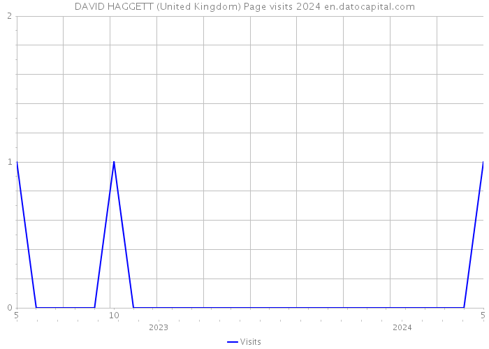 DAVID HAGGETT (United Kingdom) Page visits 2024 