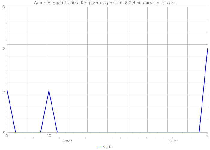 Adam Haggett (United Kingdom) Page visits 2024 